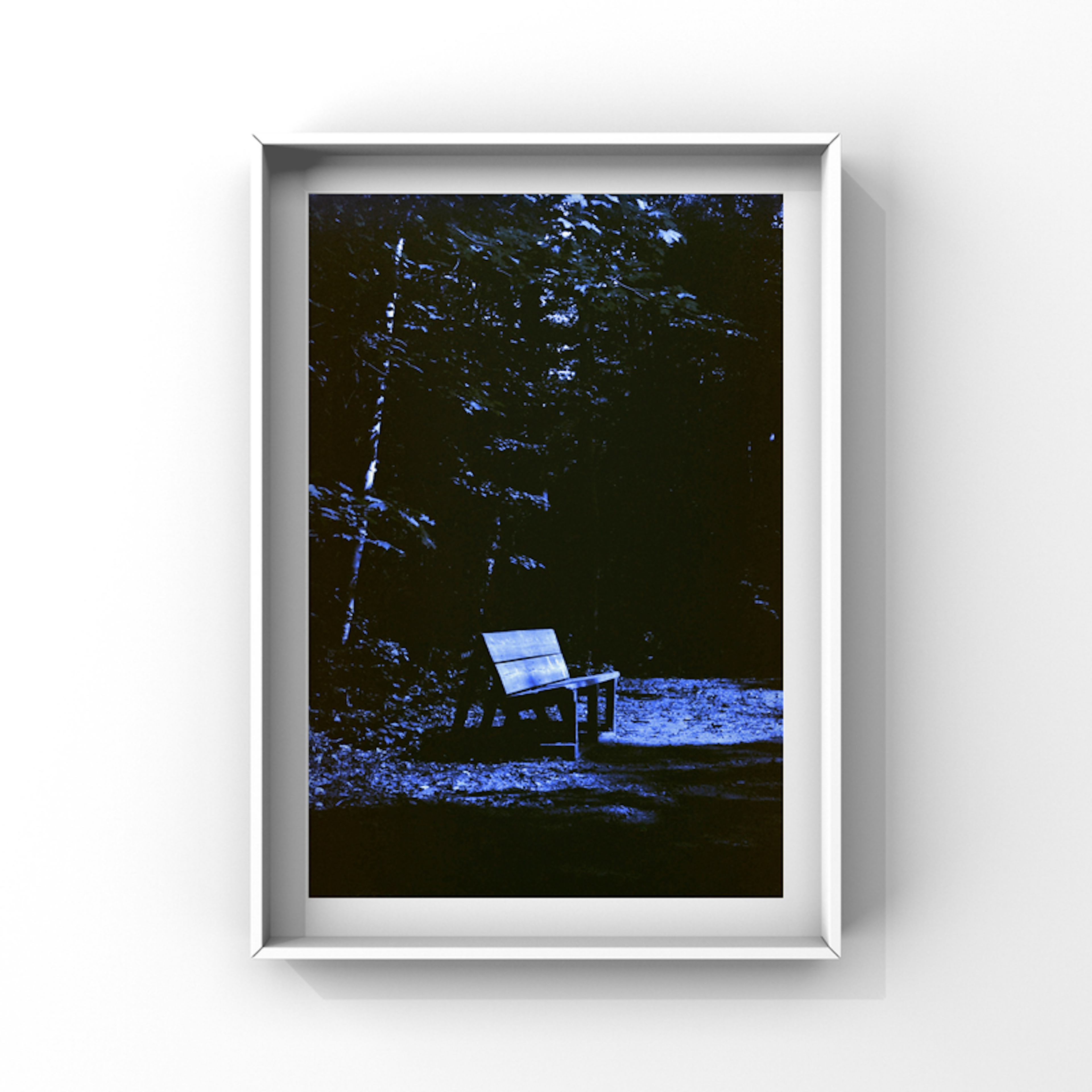 Bench in the Moonlight